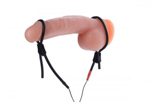 Vigor II Electro Stim Cock and Balls Ties & Frenum Electro Stimulator